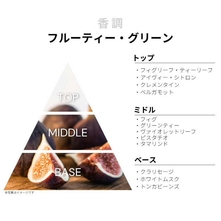 エリザベスアーデン グリーンティー フィグ EDT・SP 50ml ELIZABETH