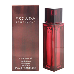 【エスカーダ 香水】センチメント プールオム EDT・SP 100ml ESCADA 送料無料 香水 SENTIMENT POUR HOMME