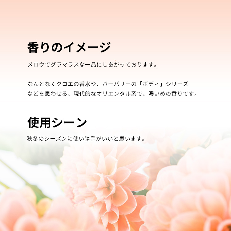 マイケルコース ワンダーラスト (B級品) EDP・SP 100ml 送料無料