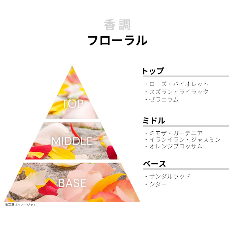 CARON キャロン 香水 デリール・ド・ローズ 薔薇の高揚 100ml CARON] (キャロン) デリール・ド・ローズ (DÉLIRE DE ROSES