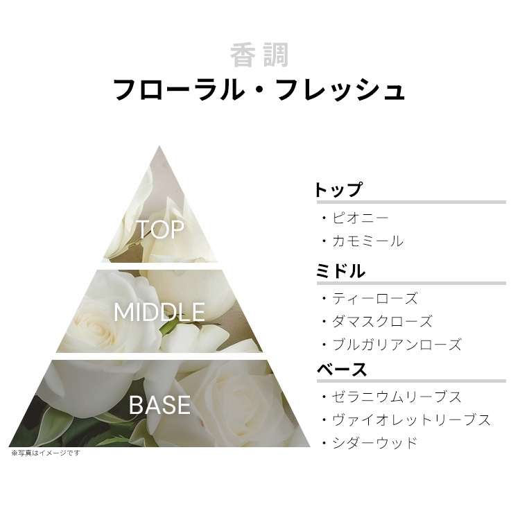 ワークショップ ティーローズ EDT 【お試し香水】 1ml WORK SHOP TEA