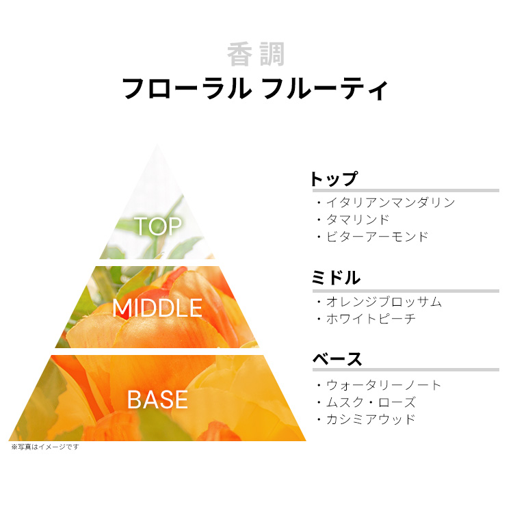 希少 ヘレンド マスターペイント サイン入り ファイン チャイナ カーニバルマン 50%Off ヘレンド ツインファンシーディッシュ・鯉 西安の黄 松竹梅文様