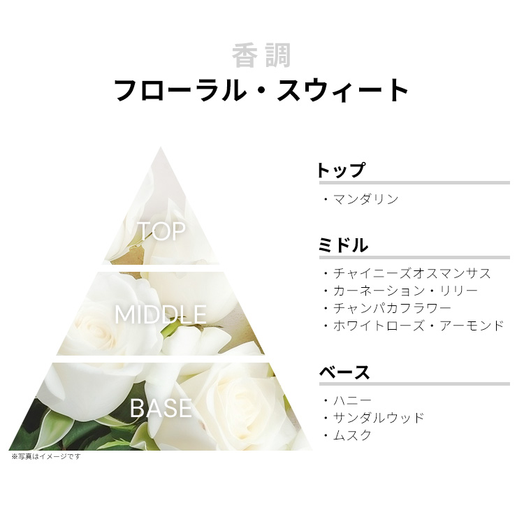 セルジュルタンス ニュイドゥセロファン 50ml 香水 セルジュルタンス ニュイドゥセロファン |