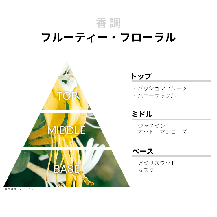 Amazon.co.jp: Salvatore Ferragamo Incanto Shine 3.4 fl oz