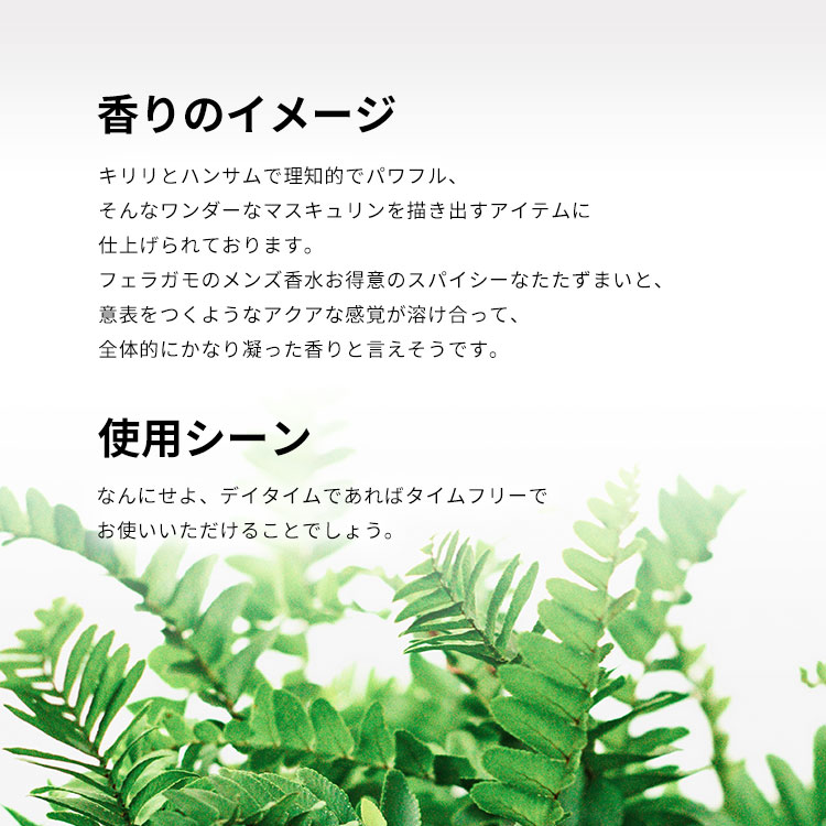 エフ バイ フェラガモ プールオム フリータイム EDT・SP 100ml