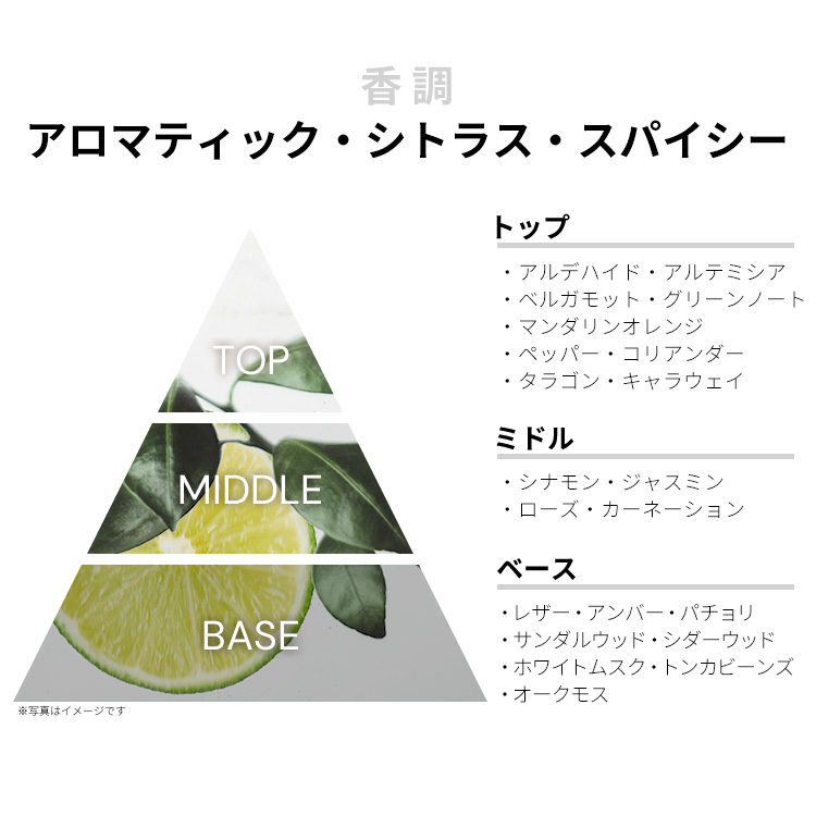 フェラガモ インカント プールオム ブルー EDT・SP 100ml SALVATORE