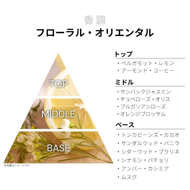 FR8411061026267D.jpg