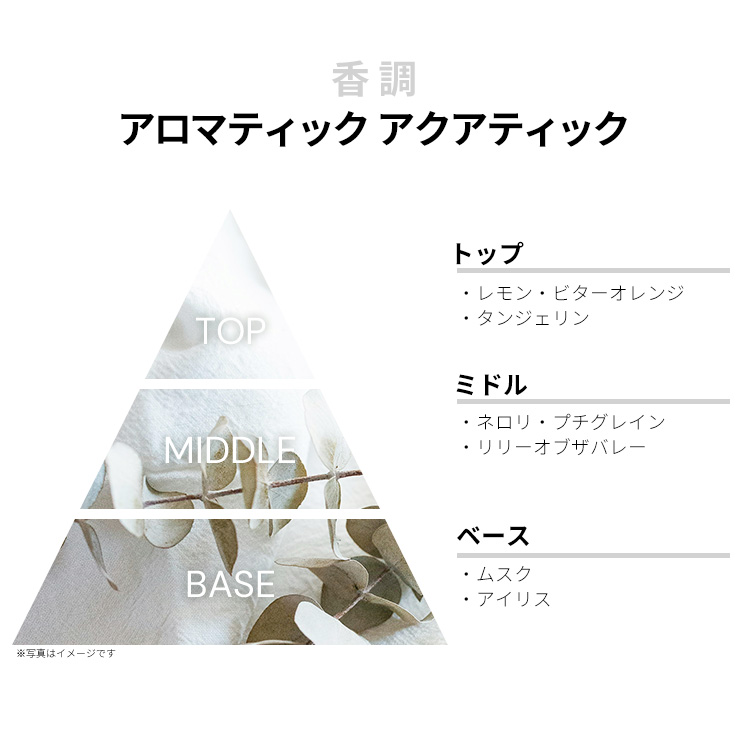 LOEWE AGUA MAIAMI ロエベ マイアミ 香水50 ml LOEWE アグア デ ロエベ マイアミ クラシック EDT・SP 50ml 香水