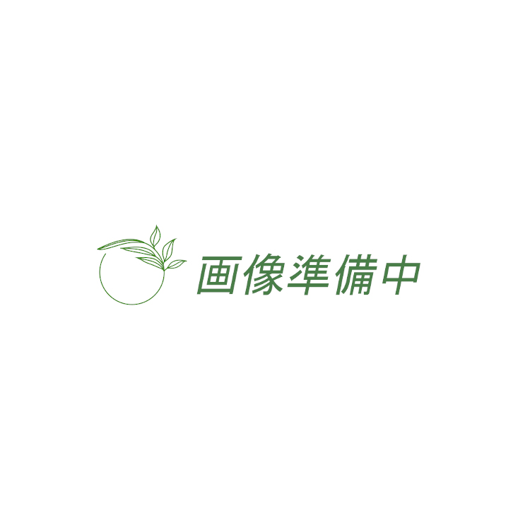 エコハイブリッドボックスロゴスウェットシャツ(メンズ) [サイズ：L